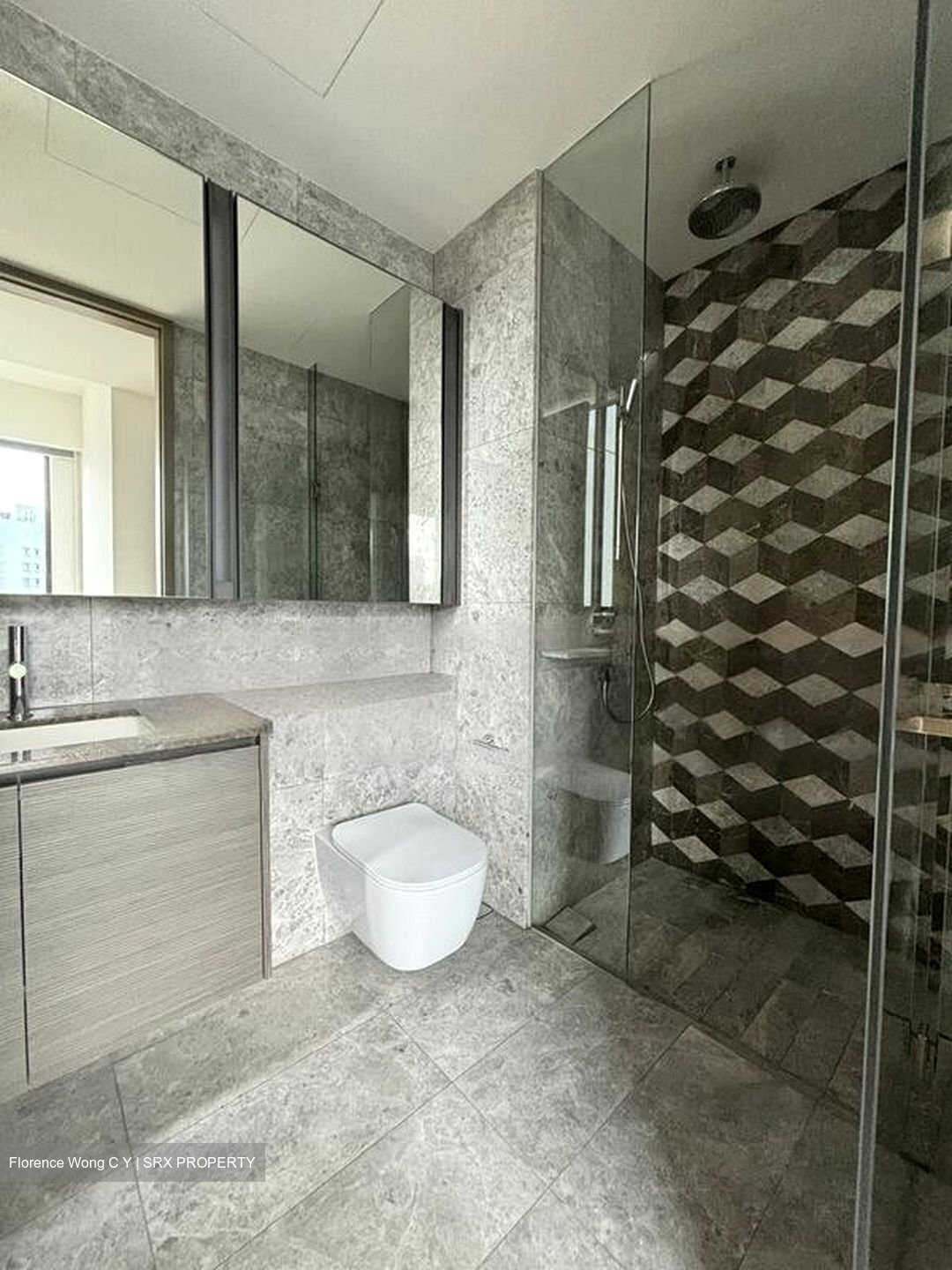 Leedon Green (D10), Condominium #457021151